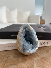 Load image into Gallery viewer, Celestite Geode
