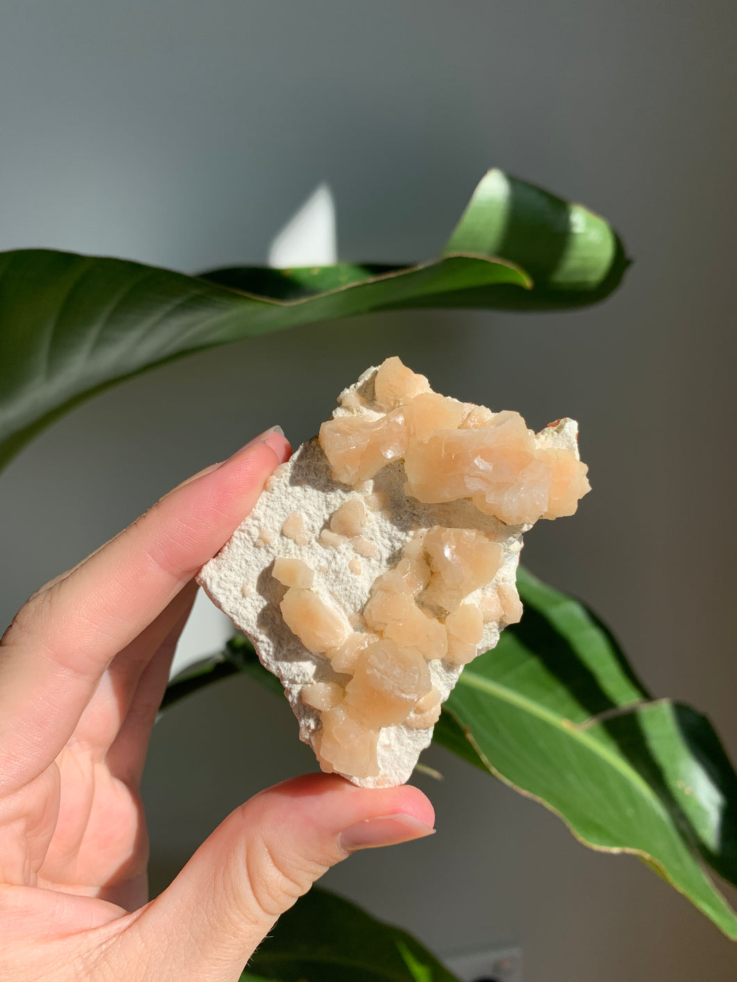 Heulandite on Mordenite