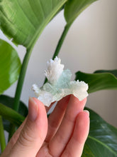 Load image into Gallery viewer, Green Apophyllite with Scolecite
