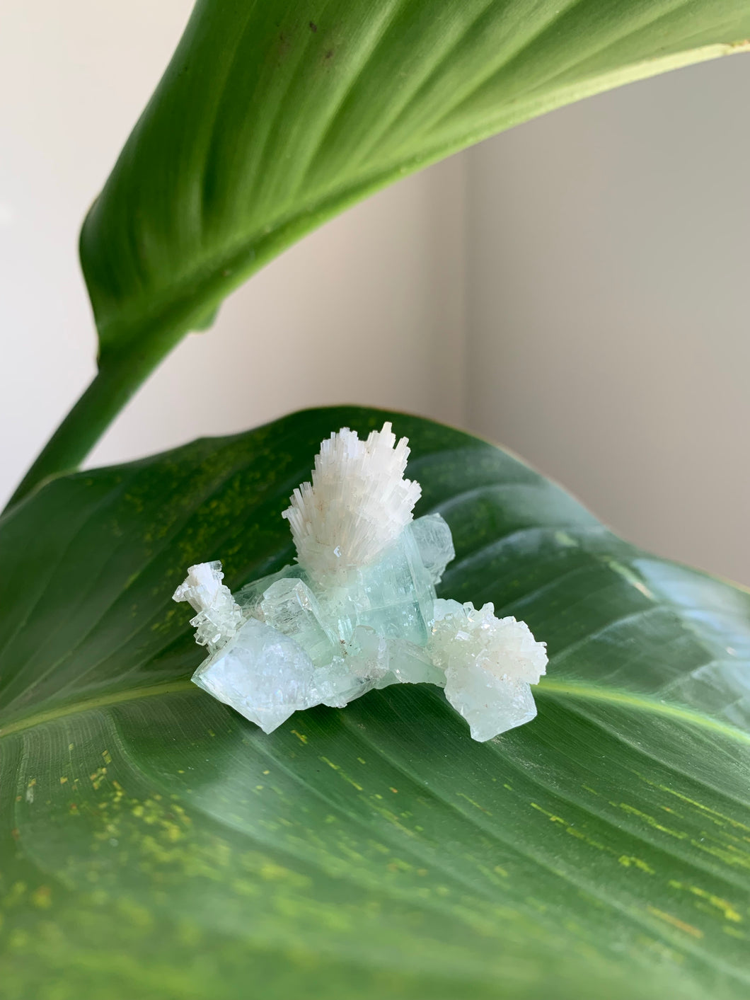 Green Apophyllite with Scolecite