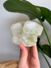 Load image into Gallery viewer, Green Apophyllite
